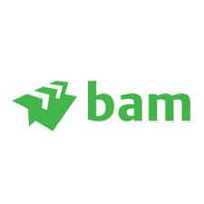 BAM Construction