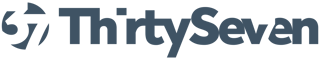 TS Standard Logo